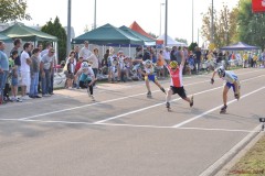 2010