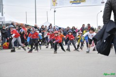 bagnoli_s151_20120401_1611119103
