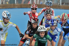senigallia-a-496-11062011_20110615_1969936653