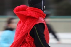 carnevale_ag010_20120503_1359194357