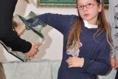 cena_sociale_s043_20111120_1545275873