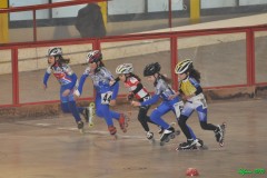 spinea_013_20120115_1788381583