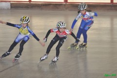 spinea_014_20120115_1347042714