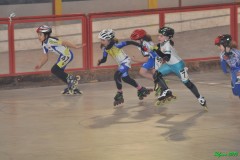 spinea_017_20120115_1372891442