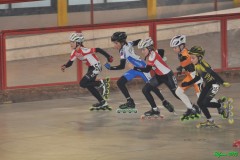 spinea_023_20120115_1500714652