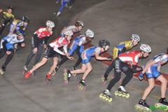 spinea_103_20120115_1859791410