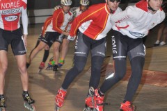 spinea_105_20120115_1610382644