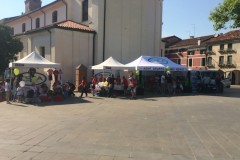 img_8840_20170529_2057432336