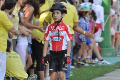 san_dona_s044_20110629_1772295597