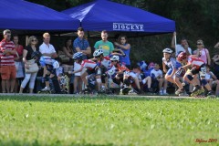 san_dona_s077_20110629_2068597747