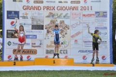 san_dona_s132_20110629_1162652760