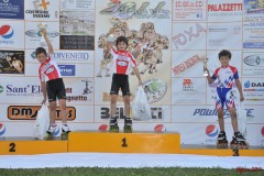 san_dona_s139_20110629_1704152818