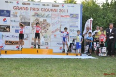 san_dona_s141_20110629_1729439934