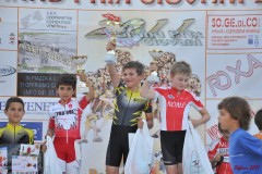 san_dona_s152_20110629_1425222383