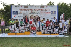 san_dona_s154_20110629_1713154229