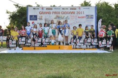 san_dona_s161_20110629_2011749298