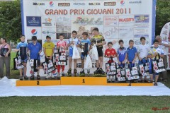 san_dona_s163_20110629_1456175935