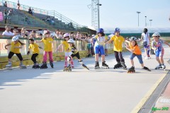 gpg_scaltenigo_s140_20120607_1112429324