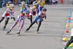trebaseleghe_s164_20120515_1217778930