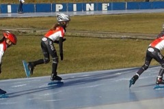 pine_20171019_1522689977