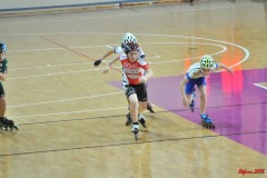 indoor_novara_2015_s006_20150524_1250642138