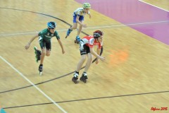 indoor_novara_2015_s008_20150524_2007547796