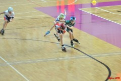 indoor_novara_2015_s012_20150524_1220723394