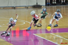 indoor_novara_2015_s018_20150524_1901935971