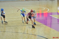 indoor_novara_2015_s020_20150524_1863373101