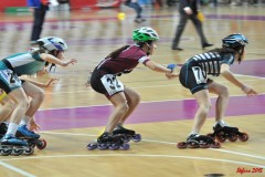 indoor_novara_2015_s255_20150524_1992258399