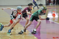 indoor_novara_2015_s263_20150524_1351953201
