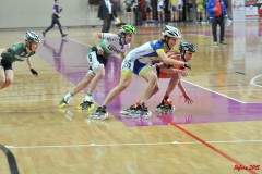 indoor_novara_2015_s284_20150524_1398459667