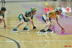 indoor_novara_2015_s290_20150524_1362535007