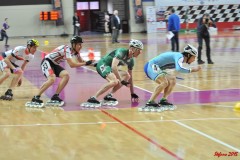 indoor_novara_2015_s307_20150524_1206945938