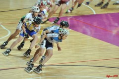 indoor_novara_2015_s332_20150524_1157176630