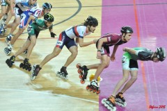 indoor_novara_2015_s349_20150524_1944846430