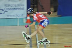 indoor_novara_2015_s368_20150524_1505616983