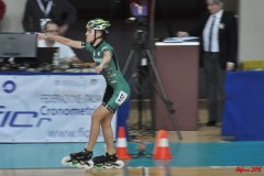 indoor_novara_2015_s374_20150524_1219598114