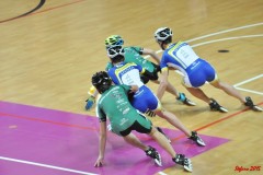 indoor_novara_2015_s387_20150524_1325784639