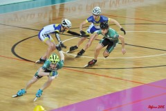 indoor_novara_2015_s390_20150524_1384498990