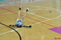 indoor_novara_2015_s393_20150524_1177224410