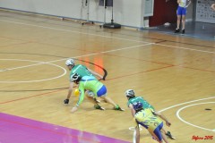 indoor_novara_2015_s410_20150525_1966785353