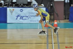 indoor_novara_2015_s422_20150525_1527363840