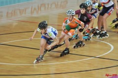 indoor_novara_2015_s441_20150525_1914450915
