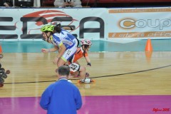 indoor_novara_2015_s458_20150525_1437835285