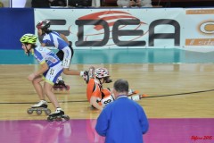 indoor_novara_2015_s459_20150525_1909318234