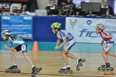 indoor_novara_2015_s460_20150525_1116089089