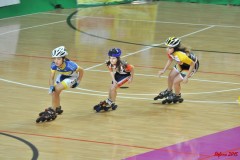 indoor_novara_2015_s467_20150525_1403334496