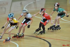 indoor_novara_2015_s472_20150525_1959896064