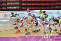 indoor_novara_2015_s478_20150525_2056345836
